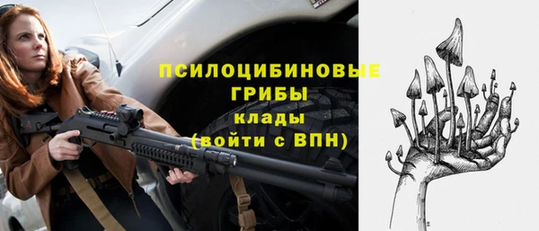 ГАЛЛЮЦИНОГЕННЫЕ ГРИБЫ Лиски