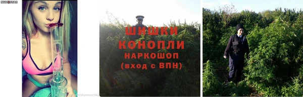 прущие крисы Лихославль