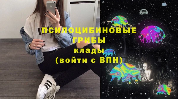 ГАЛЛЮЦИНОГЕННЫЕ ГРИБЫ Лиски