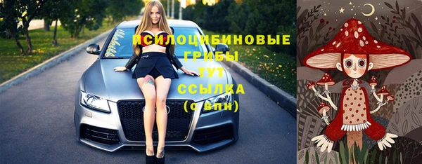 ГАЛЛЮЦИНОГЕННЫЕ ГРИБЫ Лиски