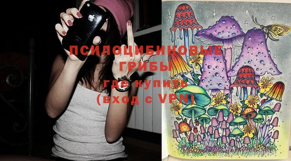 ГАЛЛЮЦИНОГЕННЫЕ ГРИБЫ Лиски