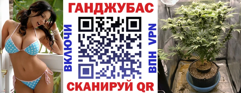 Купить закладки  Динская  Канабис AK-47 